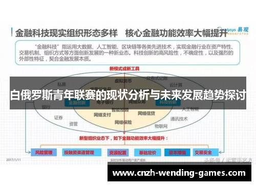 白俄罗斯青年联赛的现状分析与未来发展趋势探讨