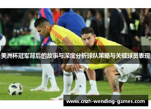 美洲杯冠军背后的故事与深度分析球队策略与关键球员表现
